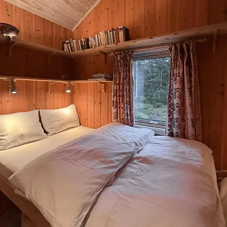 4 Bedroom In Trysil