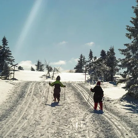 4 Bedroom In Trysil