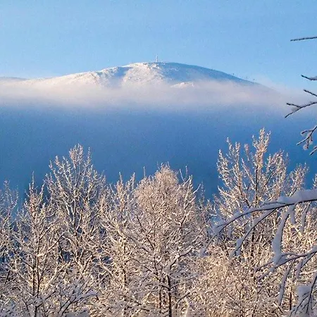 4 Bedroom In Trysil