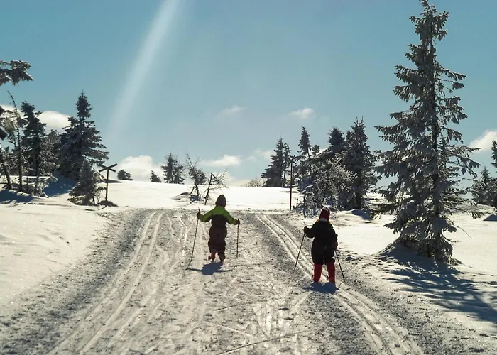 4 Bedroom In Trysil