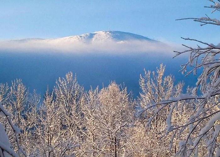 4 Bedroom In Trysil